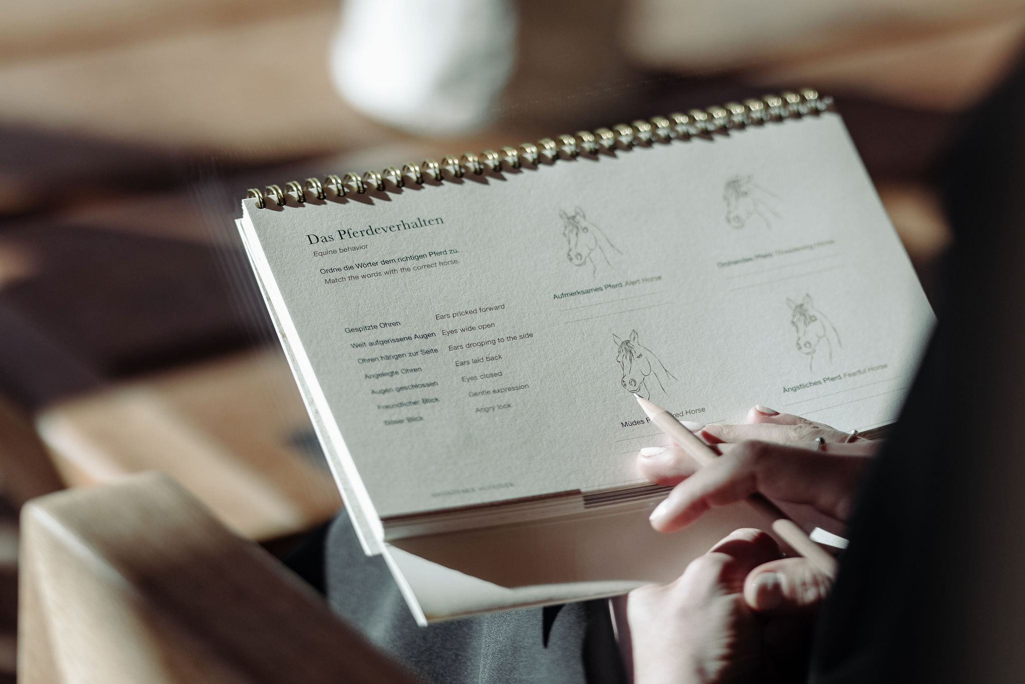 Reitabzeichen am Moar Gut