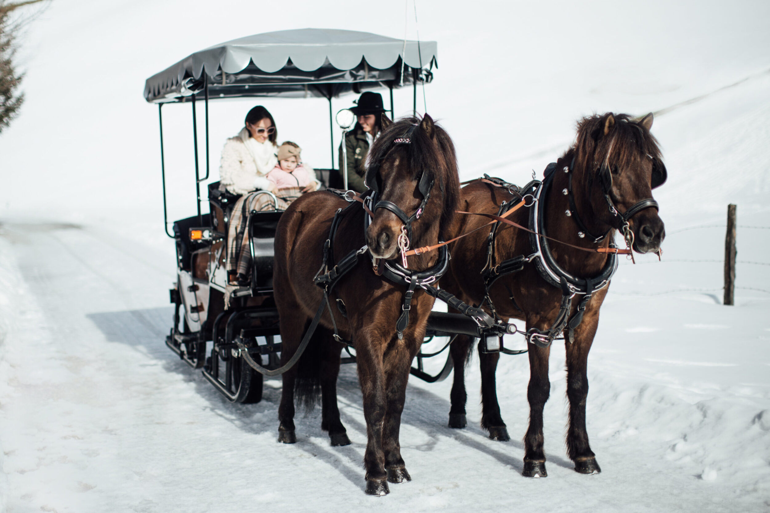 Kutschenfahrt in den Bergen durch den Schnee