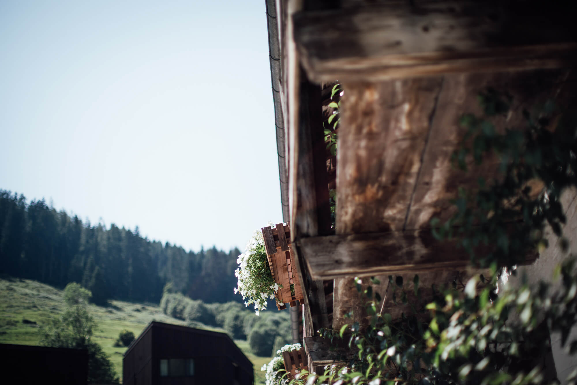 Stallgebäude und Hochgartl