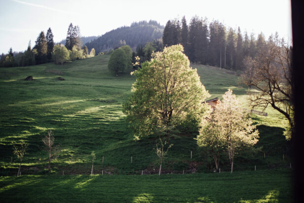 Natur um das Moar Gut