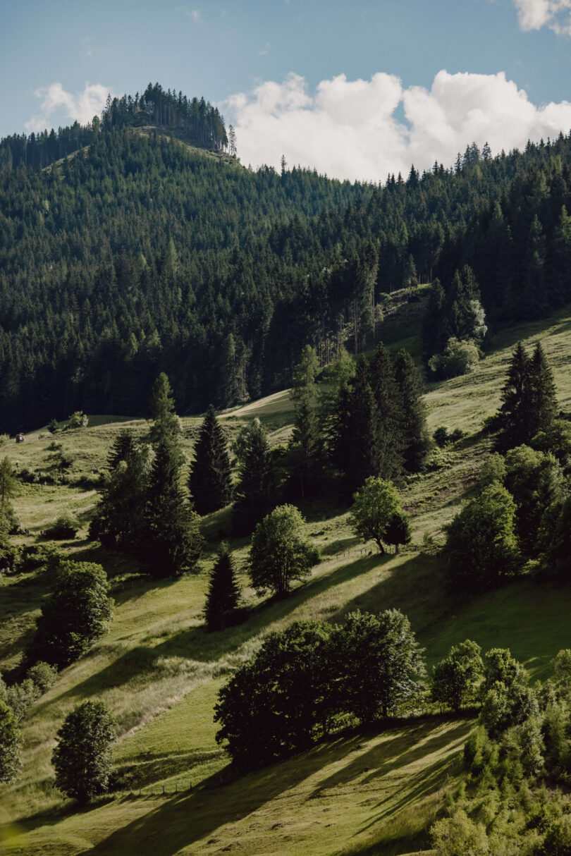 Wiesen und Berge um das Moar Gut