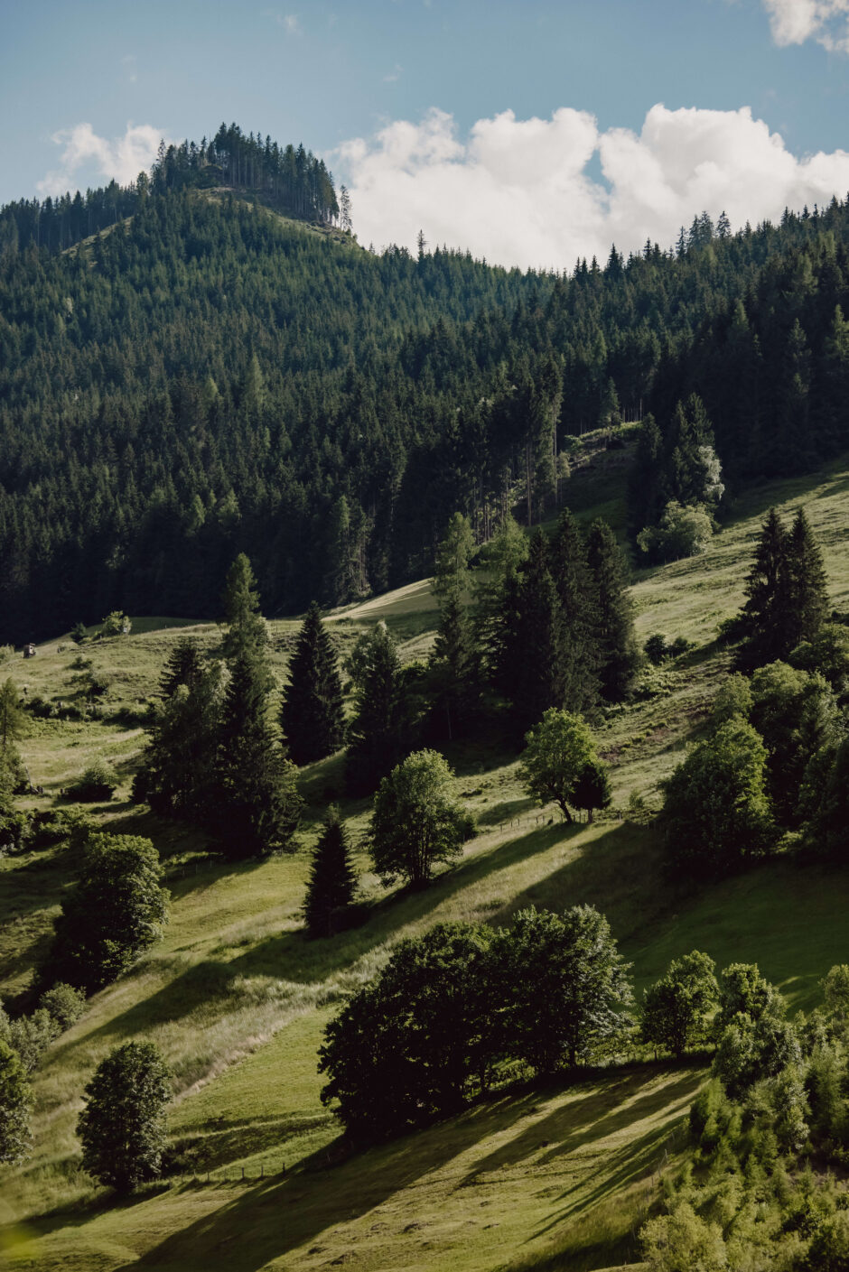 Wiesen und Berge um das Moar Gut