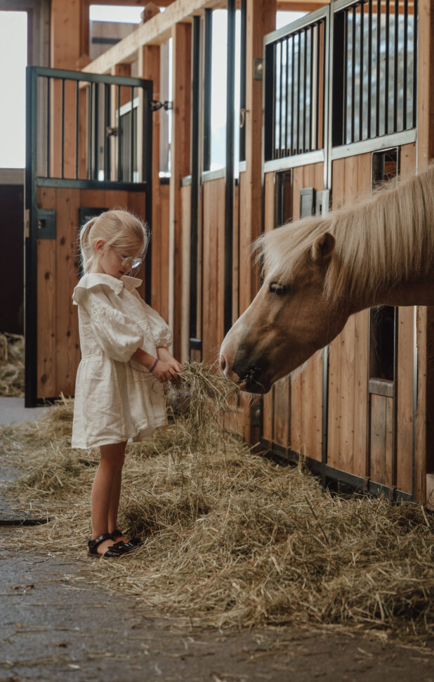 Mädchen füttert Pferd