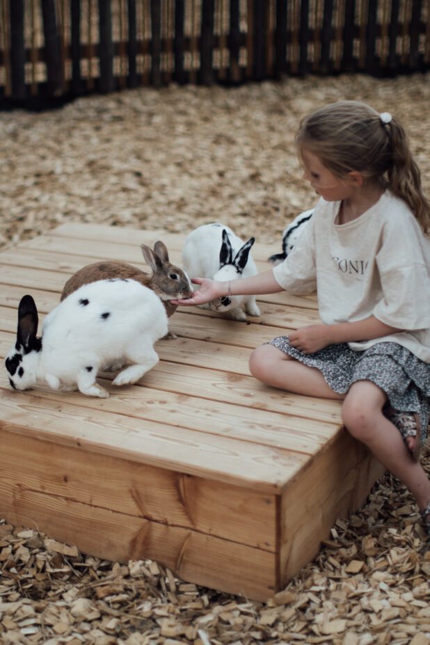mädchen streichelt hasen