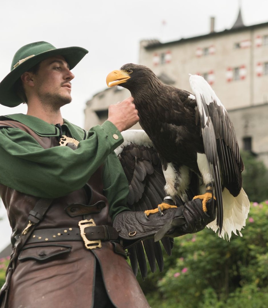 Falkner auf der Burg Hohenwerfen