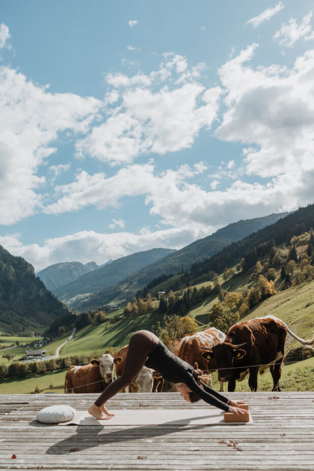 Yoga mit Berg- und Kuhblick